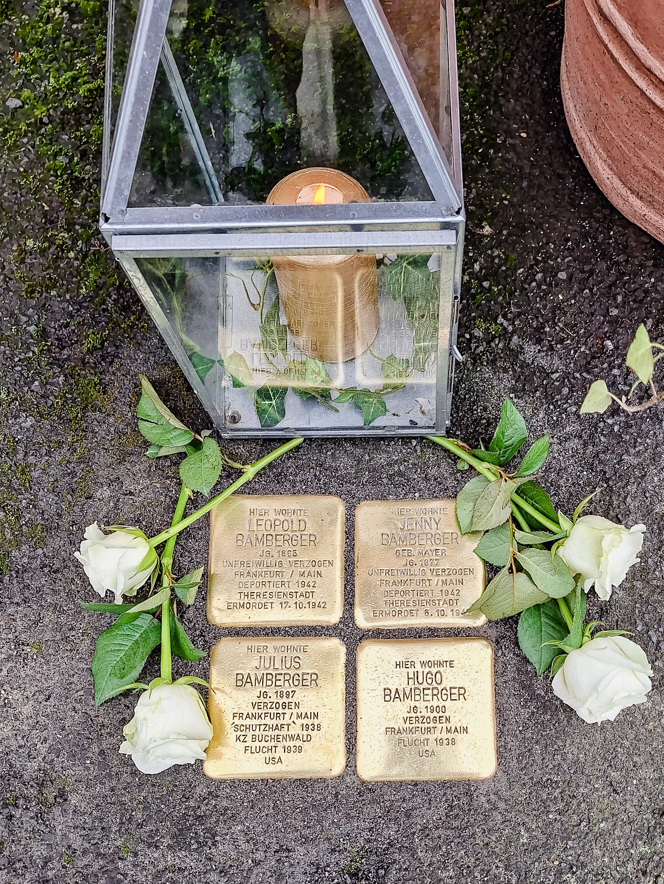Vier Stolpersteine, ringsum weiße Rosen, dahinter eine Laterne mit Kerze