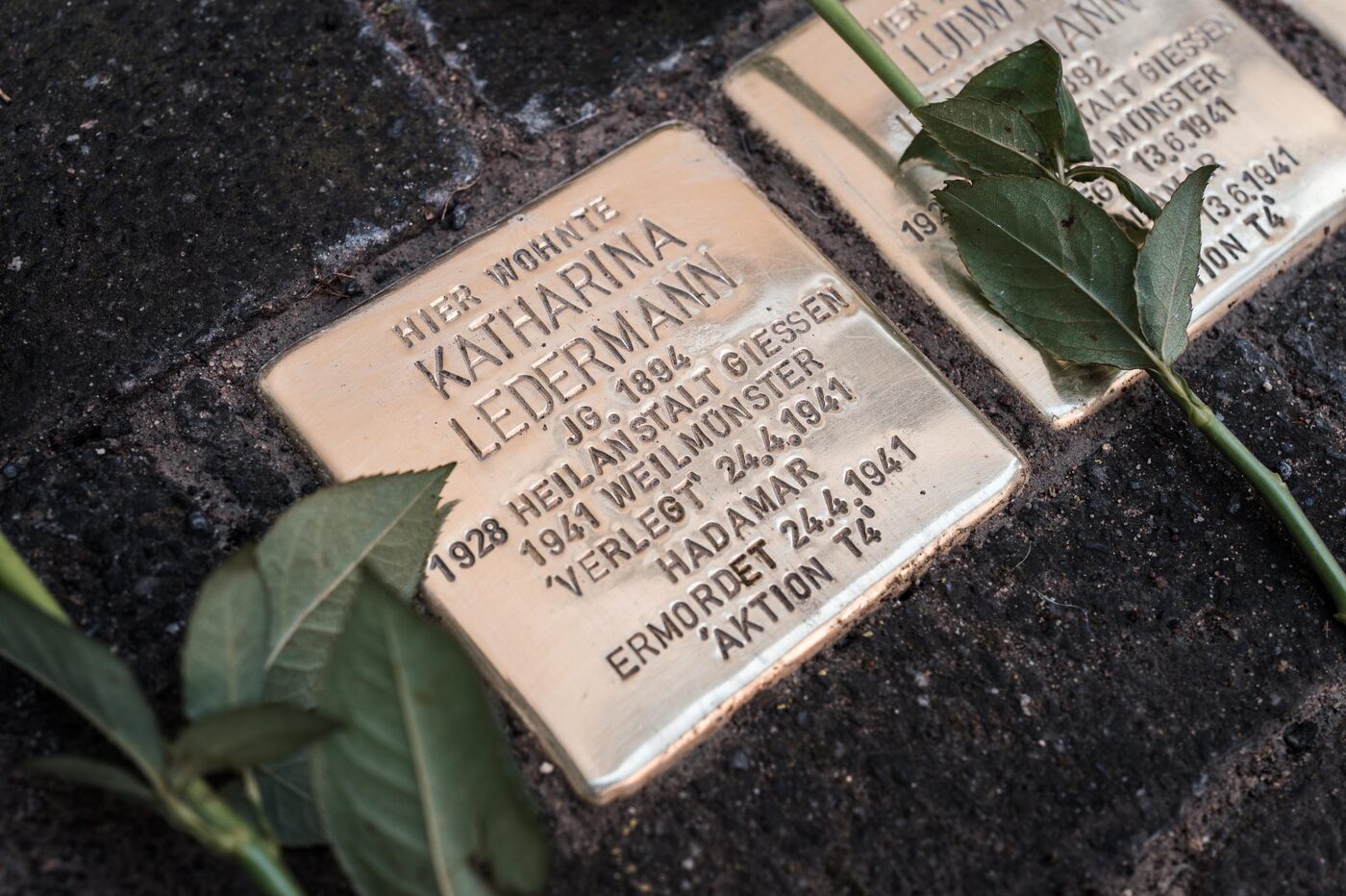 Der Stolperstein für Katharina Ledermann in Nahaufnahme, daneben das Blatt einer Rose.